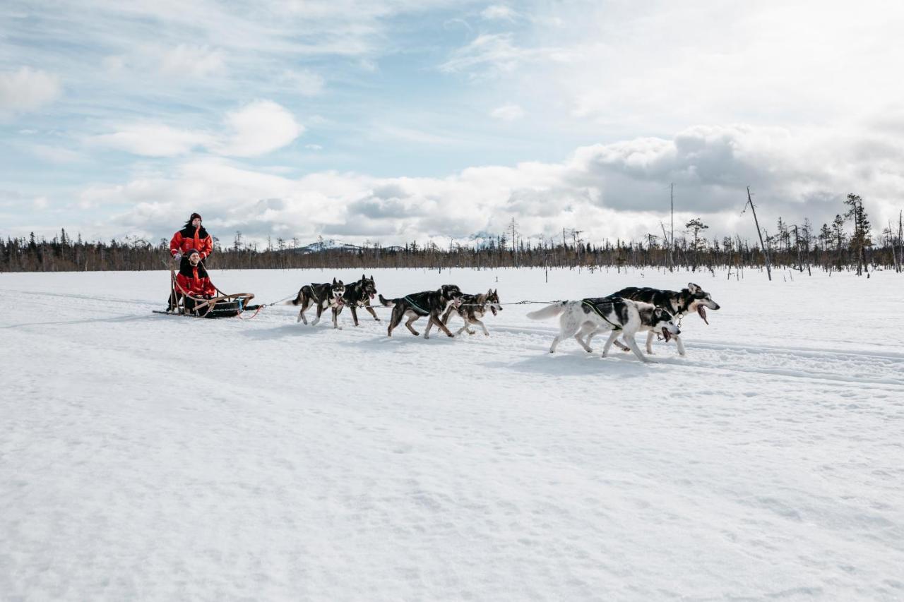 Lapland Yllaeskaltio Hotel 3*