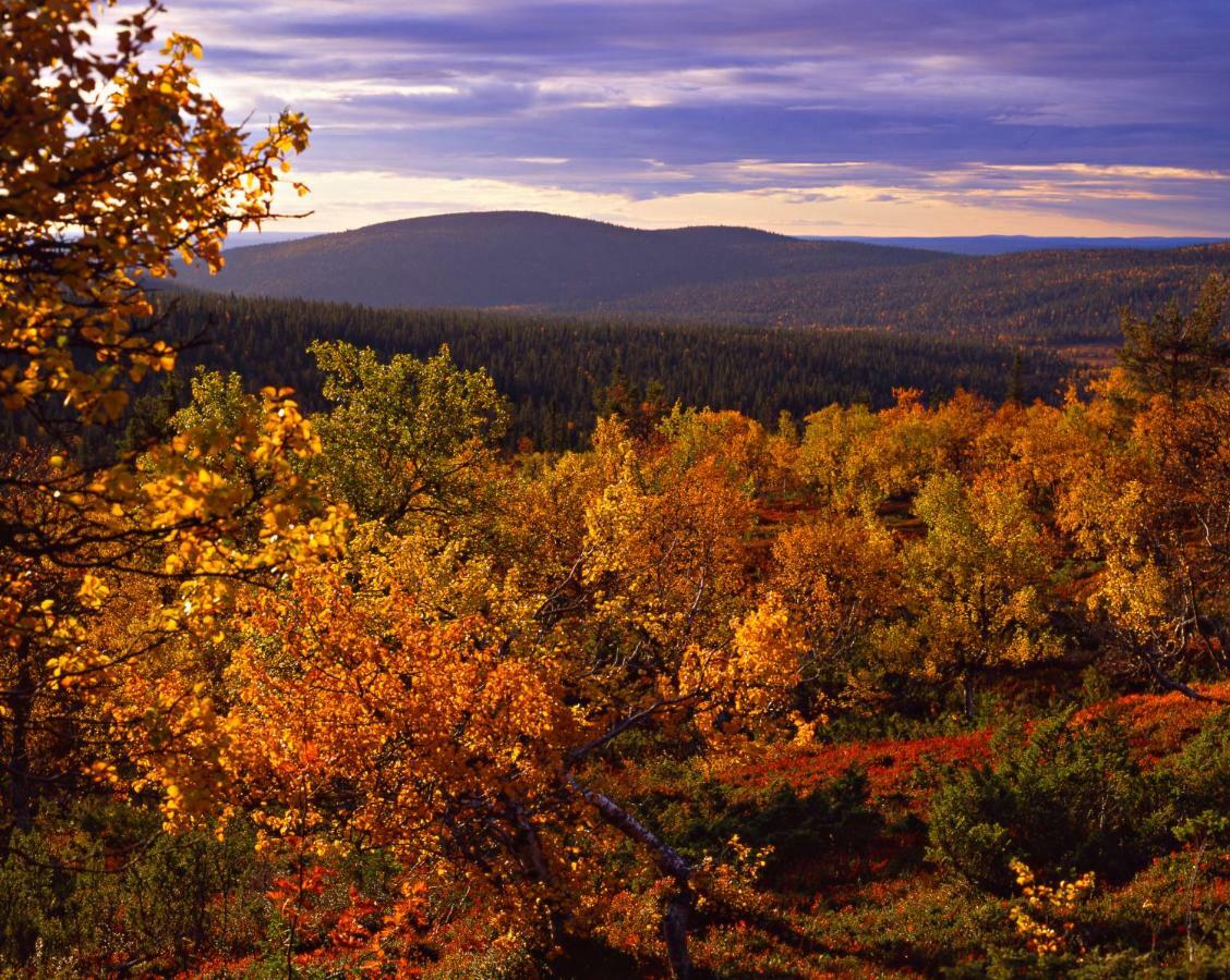 Lapland Yllaeskaltio 3* Äkäslompolo